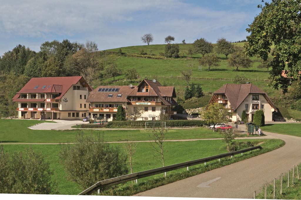 Landgasthof Adler Pelzmuehle Biederbach Экстерьер фото